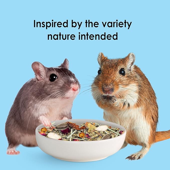 Kaytee Food from The Wild Natural Pet Hamster Food, 2 Pound
