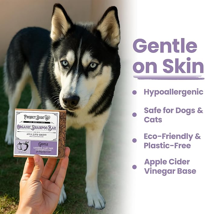 Project Sudz Gentle All Natural Dog Shampoo for Dry Coat for Sensitive Skin | Bar Shampoo for Dogs | Organic Dog Shampoo Sensitive Skin | Lavender (1)