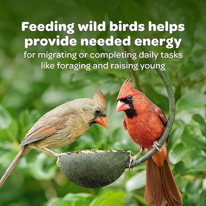 Kaytee Songbird Wild Bird Diffuser Tube Feeder with 10 Perches, Pack of 2