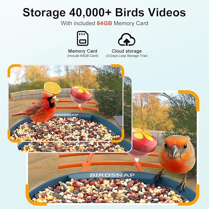 birdsnap® PAV-Bird Feeder with Camera,2K HD with 64GB Card, AI Identify Smart Bird House Cam Solar Panel,Live Stream,Motion Detection,Auto Record Video for Backyard Outdoors,Ideal Gift for Bird Lover