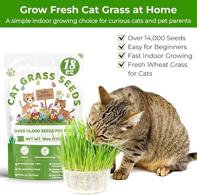 18oz Cat Grass Seeds Bulk - Over 14000+ Premium Cat Grass for Indoor Cats & Pets, High Germination Rate & Easy to Grow, Non-GMO Wheat Grass Seed for Planting(510g)