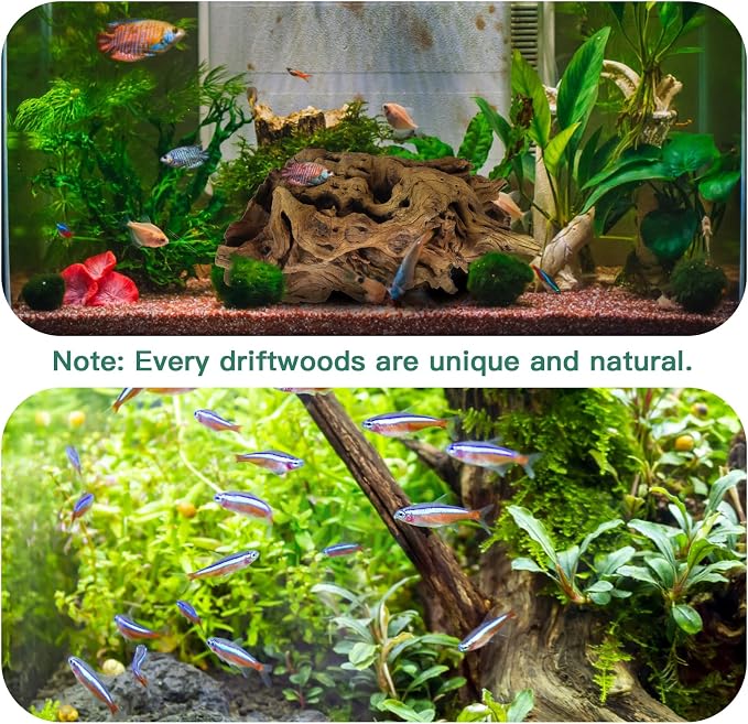 Driftwood for Aquarium, 14-18" Extra Large Drift Wood Fish Tank Assorted Branch Decorations Pieces for Reptile Hide