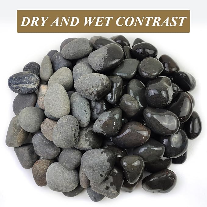 FANTIAN 10 lbs Black River Rocks, 2-3 Inch Stones for Plants Indoor | Natural Decorative Black Pebbles for Plants, Landscaping, Garden, Aquarium, Fish Tank, Backyard, Water Fountain