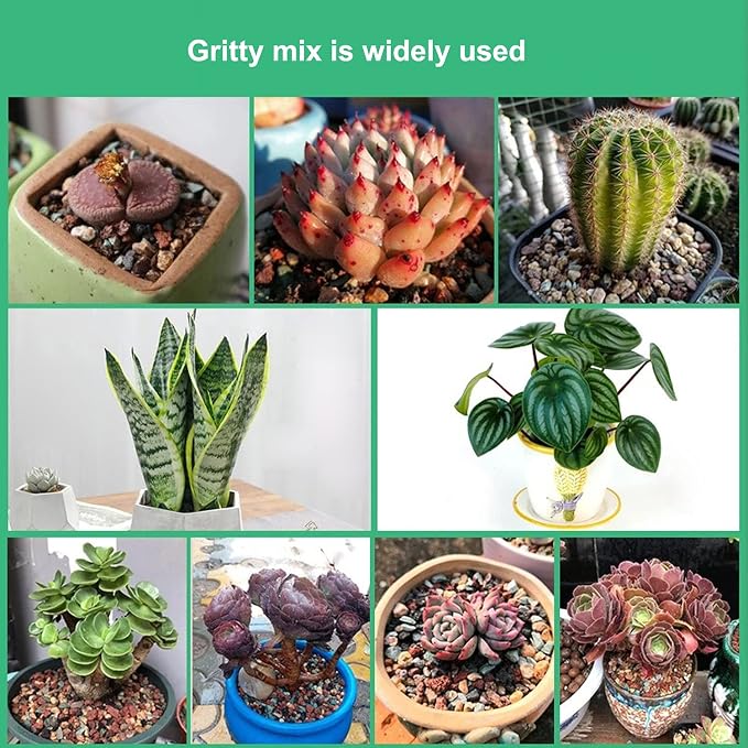 Boniosz 5lb Bonsai Succulent and Cactus Soil 1/8-1/4 inch Gritty Mix Rocks Gravel for Terrarium Top Dressing Decorative Pebbles Potting Soil Amendment for Pots Indoor Plants, Fast Drainage, Balance PH