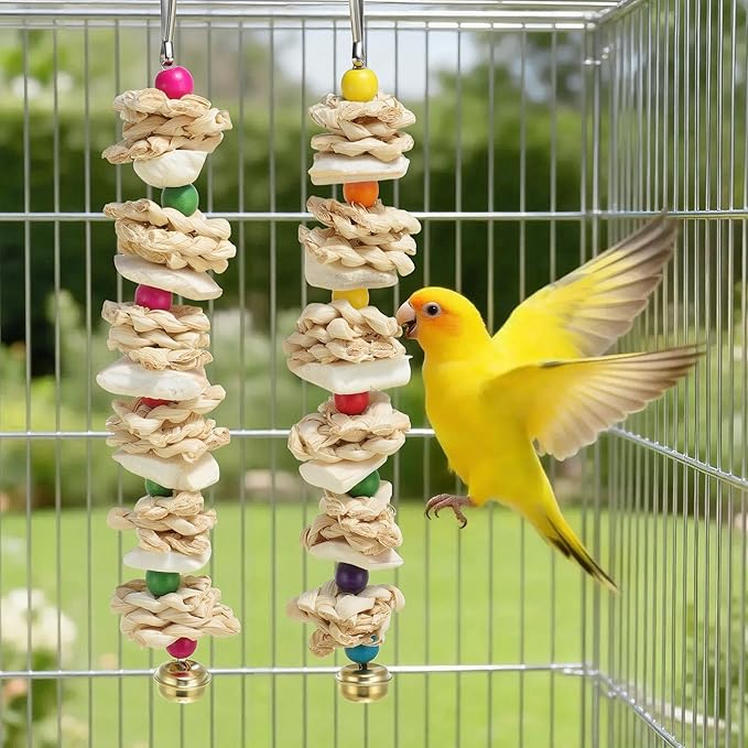Bird Toys with Cuttlebone, Prevent Destructive Chewing, Grinding Stone for Bird, White, Colorful, 2 Pcs