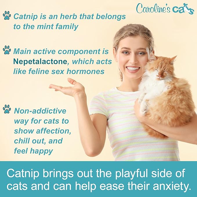 Caroline's Cats Organic Catnip Pouches for Cat Toys – Catnip Packets Refill for Flapping Bird and Catnip Toys; Catnip Tea Bags 10 Packets (Catnip Powder)