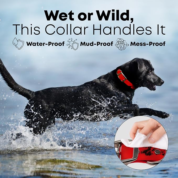 Regal Dog Products Large Red Waterproof Dog Collar and Leash Set | Heavy Duty Double Buckle & D Ring - 5'ft Leash | Adjustable Biothane Dog Collar | Chew Resistant Waterproof Collar for Dogs