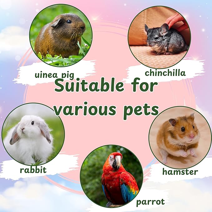 Cute Hanging Rabbit Hay Feeder Bag, Guinea Pig Hay Bag, Bunny Feeders Holder Storage For Small Pets Bunnies Chinchilla Hamster Rats, Guinea Pig Accessories For Cage, Bunny Accessories For Cage (Green)