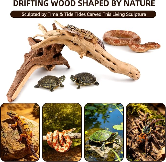 Vmiapxo miapxo 5-Pack Natural Driftwood, Sinkable Spider Wood (6''-8'') | Assorted Shapes Drift Wood, Aquarium Decor, Reptile Terrarium & Fish Tank Wood Branches Decoration