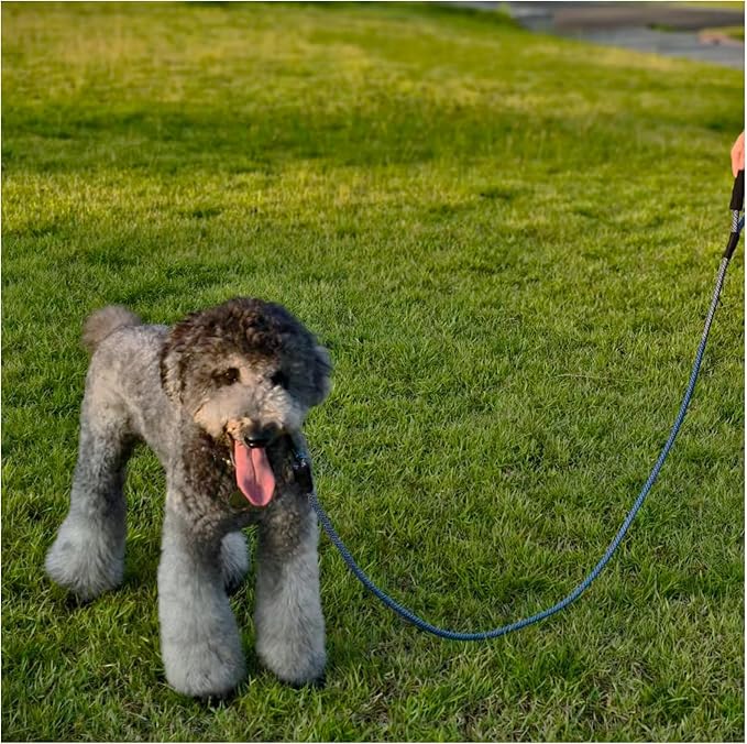 MayPaw Heavy Duty Rope Dog Leash, 3/4/5/6/7/8/10/12/15 FT Nylon Pet Leash, Soft Padded Handle Thick Lead Leashes for Large Medium Dogs (Navy, 1/2" * 6')