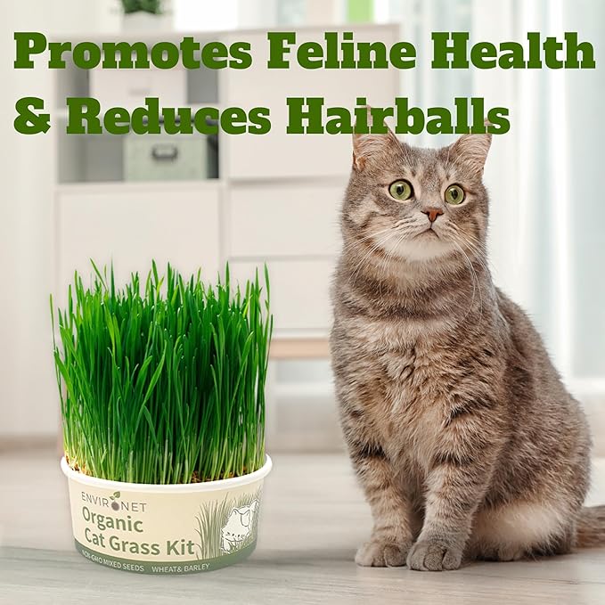 Cat Grass Kit for Indoor Cat, Organic Grass Growing Kit with Seeds, Soil and Planting Tools, Quick Germination, Perfect for Beginners