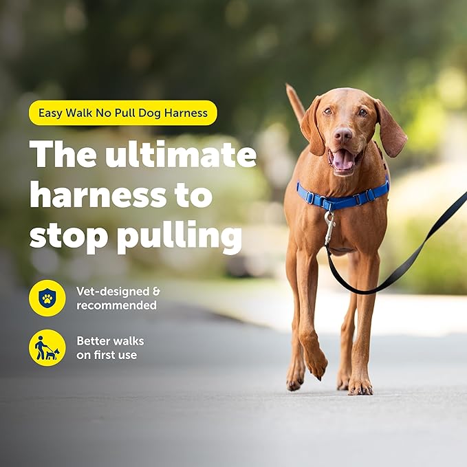 PetSafe Easy Walk No-Pull Dog Harness - The Ultimate Harness to Help Stop Pulling - Take Control & Teach Better Leash Manners - Helps Prevent Pets Pulling on Walks, Medium, Royal Blue/Navy Blue