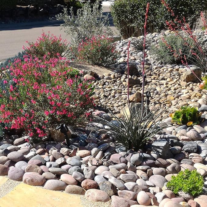 FANTIAN 20 lbs Large River Rocks for Outdoor Landscaping, 3-4 Inch Decorative Pebbles for Landscaping Garden Yard Paving Fish Tank Plant Crafting Walkways and Painting | Large Stones Decorative Pebbles for Landscaping, Garden, Plant, Yard Paving, Fish ...