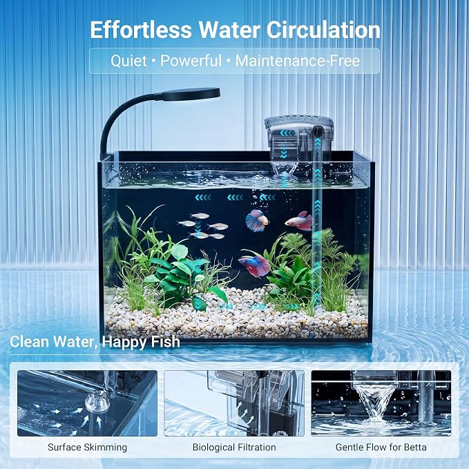 Smart Fish Tank Aquarium Kit: 2.8 Gallon Ultra-Clear Rimless Desktop Fish Tank with LED Light & Filter, Includes Landscape Stone, Complete Set for Small Fish, Shrimp, or Betta, Black