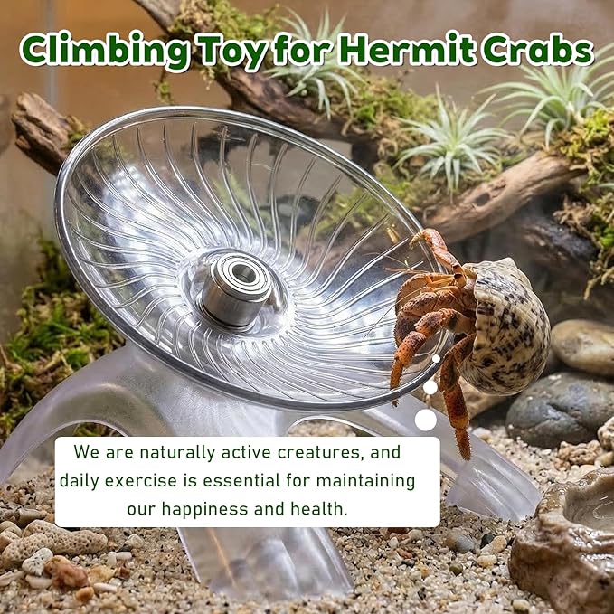 Hermit Crab Exercise Wheel Hamster Flying Saucer Silent Running Exercise Wheel Hermit Crab Climbing Toys Small Animal Active Play and Exercises Accessory for Hamster Crabs Gerbils Hedgehogs