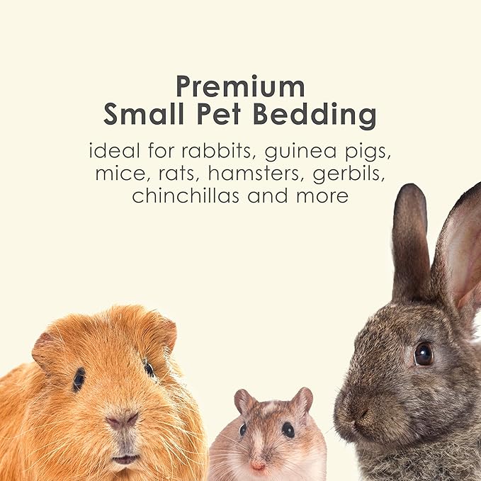 Kaytee Clean & Cozy Colors, Small Animal Bedding with Extreme Odor Control, Sunset, 24.6 Liters