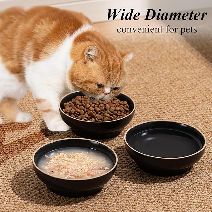 Cat Bowl 3 Pack, Pet Plate, Premium Ceramic Food Grade Pet Bowl Suitable for Dry and Wet Food, 5 in Feeding Indoor Cats, Kittens and Small Dogs, Dishwasher Safe (Black White Gray)