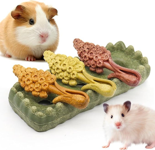 TEEWY 4PCS Guinea Pig Chew Toys, Prevent Teeth Overgrowth, Natural Timothy Grass & Vegetables, Hamster Toys, Guinea Pig Toys, Chinchilla Toys, Grass Patch & Hyacinth
