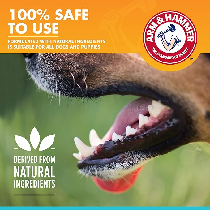 Arm & Hammer for Pets Fresh Breath Enzymatic Dog Toothpaste, Chicken Flavor, Safe for Puppies and Adult Dogs, Daily Baking Soda Dental Gel to Eliminate Bad Breath, 2.5 Oz