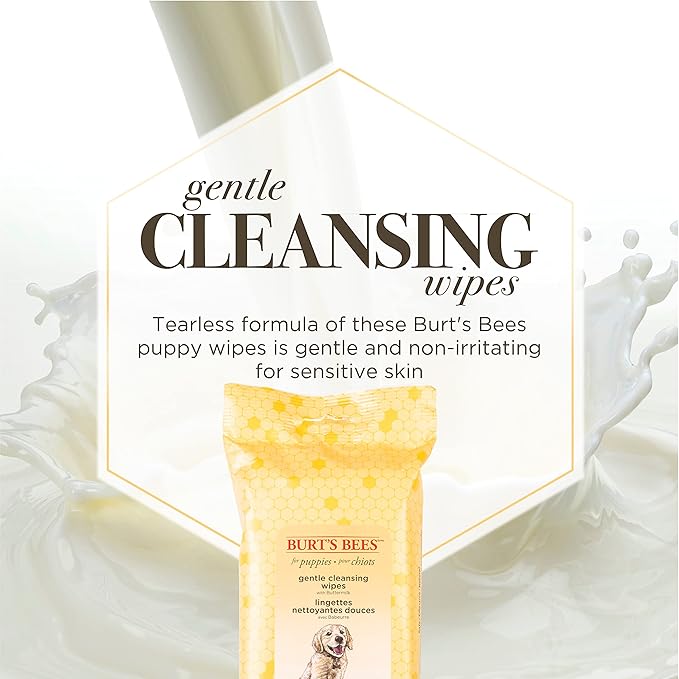 Burt’s Bees for Pets Gentle Cleansing Puppy Wipes with Buttermilk - Hypoallergenic, 98% Natural Origin Wipes That Gently Cleanse and Condition, Safe Formula, 50 Count