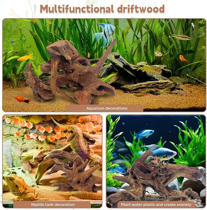 PINVNBY Natural Large Driftwood for Aquarium Fish Tank Decorations, Driftwood for Reptile Tank Bearded Dragon Tank Accessories Terrarium Decor (10 to 14 inches / 2 Pack)
