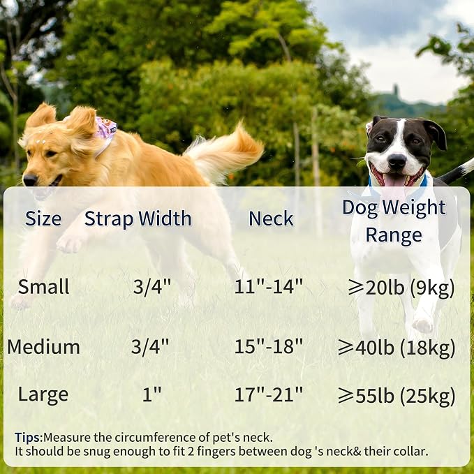 Mile High Life Genuine Leather Dog Collar, Heavy Duty Canvas Collar with Adjustable Metal Pin Buckle for Small Medium Large Dogs (Lime Green, M Neck 15"-18")