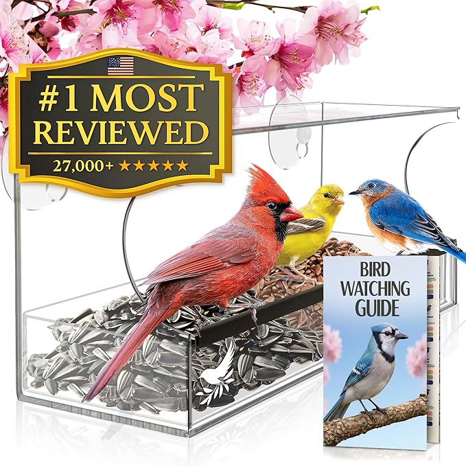 Window Bird Feeder by Nature’s Hangout - Award-Winning Clear Acrylic Bird Feeders for Outdoors, No Assembly, Strong Suction Cups, Bird Watching for Cats, Easy-to-Clean Birdhouse