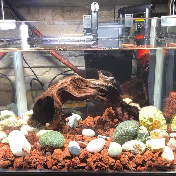 Tfwadmx 10 Pcs Aquarium Red Lava Rock Fish Tank Volcanic Pumice Stones for Shrimp Betta(1.18''-1.96'')