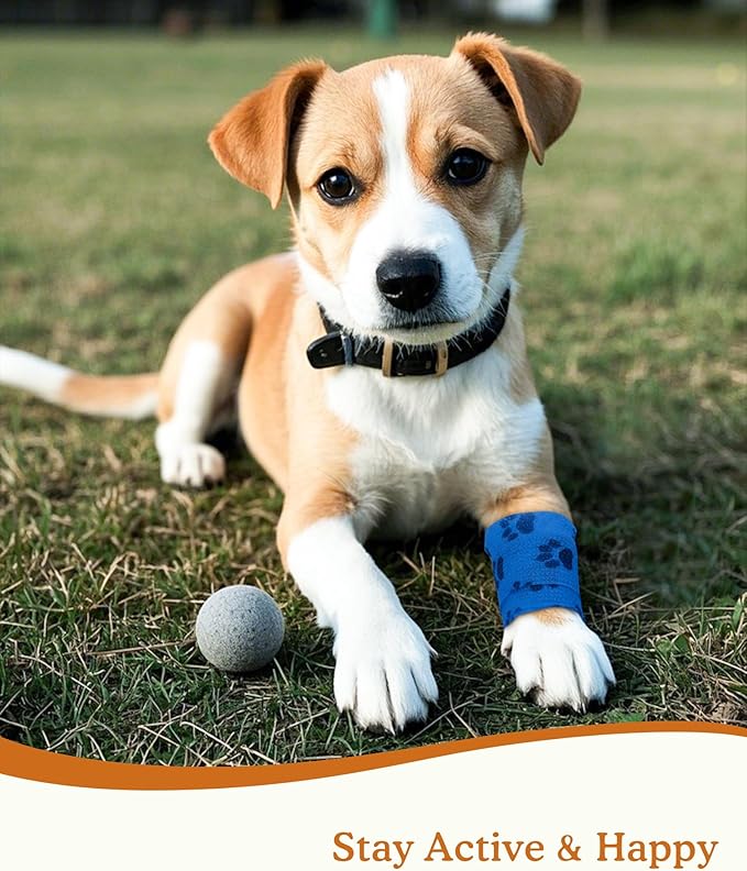 2 Inch Self Adhesive Bandage Vet, First Aid for Dogs Cats Horses, Great for Paws, Legs & Tails, Individually Wrapped, 8 Rolls, Daybreak Paw