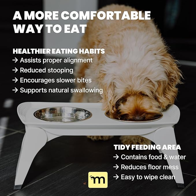 MalsiPree Elevated Dog Bowls for Small Dogs - 6.5" Raised Dog Bowl Stand with Splash Guard - Portable Folding Pet Feeding Station with 2 Stainless Steel Bowls - Dog Birthday & Adoption Gift, White