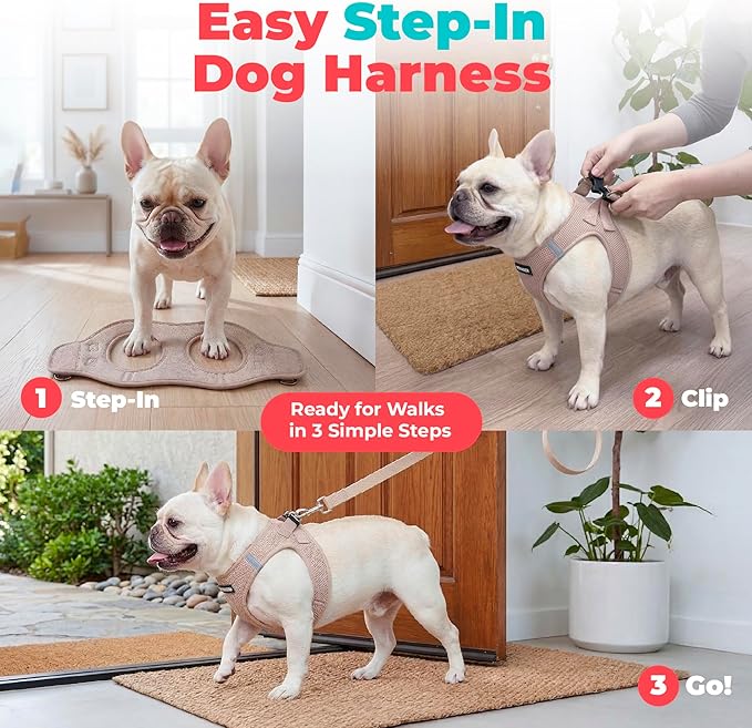 Best Pet Supplies Voyager Step-in Air Harness - All Weather Mesh, Reflective, No Pull Harness for Dogs, Cats - Secure with Hook & Loop Fastener, Buckle, Double D-Rings - Khaki, XXS