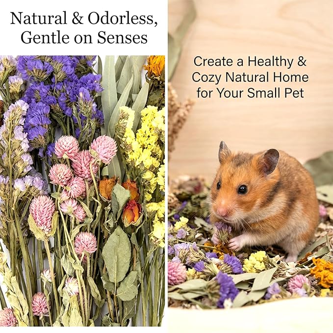 Sukh Hamster Bedding Sprays Habitat Decor - Natural Hamster Cage Accessories with Floral Forage, Layered Small Animal Habitat Decor for Hamster Enrichment, Syrian Hamster Hideout Cage Decor