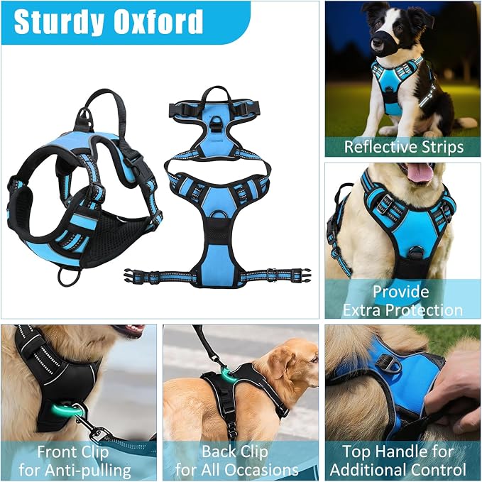 No Pull Dog Harness Adjustable Collar & Leash Set - Dog Halter Harnesses Collapsible Bowls & Poop Bag Dispenser Muzzle ID Tags Toys Fits Small Medium Large Dogs (Blue-S)