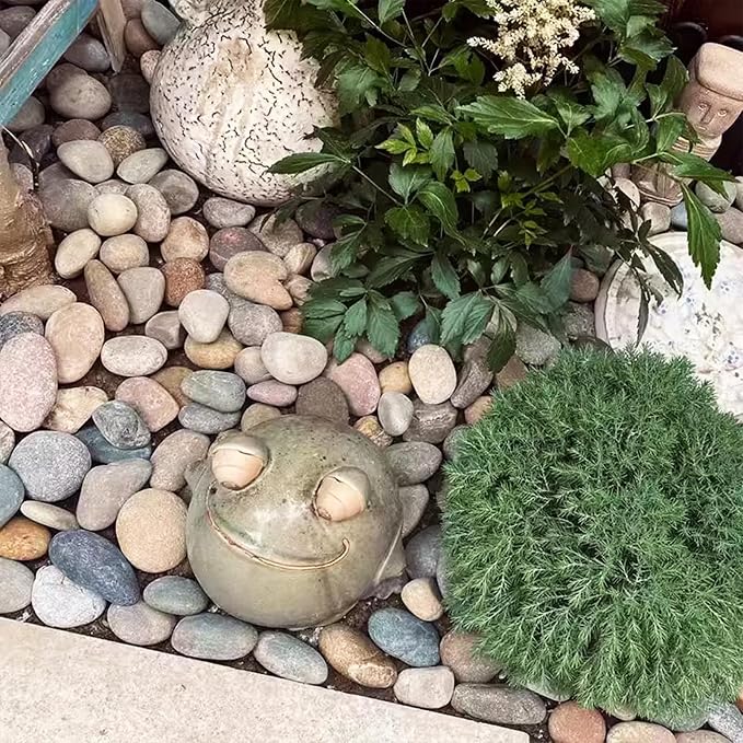 Natural River Rocks-40 lbs of Pebbles and River Stones,2-3 Inch Plant Rocks for Landscaping,Garden Paving,Crafting,Walkways,and Outdoor Decorative Stone,Mexican Beach River Rocks