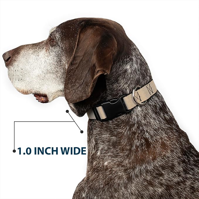 Dog Collar Plastic Clip Natural Hemp 18 to 32 Inches 1.5 Inch Wide