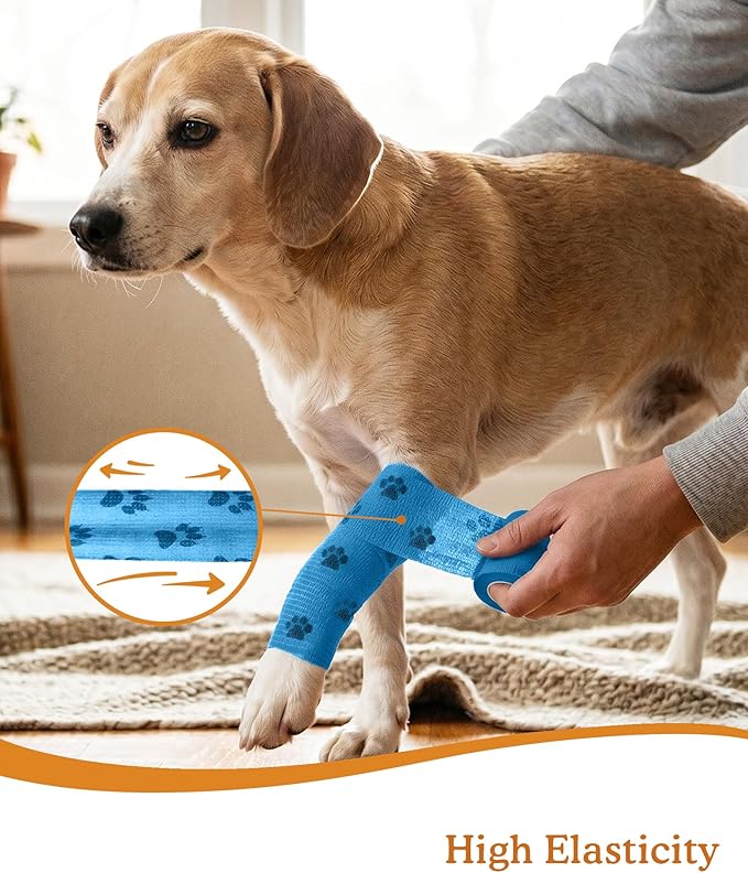 Paw Design Self Adhesive Wrap, First Aid Medical Tape for Dogs Cats & Horses, Elastic Bandage for Daily Paw & Leg Care, 2 Inch 8 Rolls, Lake Breeze Paw