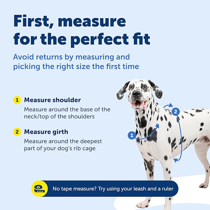 PetSafe 3 in 1 Dog Harness - No Pull Solution for Dogs - Reflective Dog Harness - Front D-Ring Clip Helps Stop Pulling - Comfortable Padded Straps - Top Handle Enhances Control - Plum - Extra Small