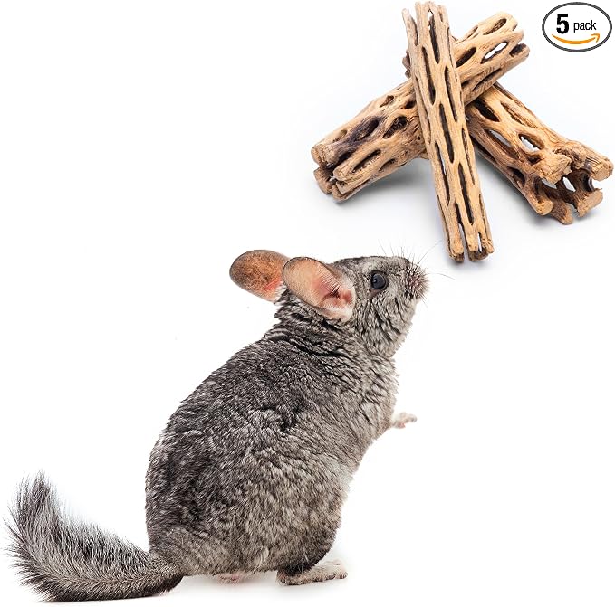 Natural Cholla Wood - Driftwood for Aquariums, Air Plant Base, Hermit Crab and Freshwater Shrimp Hideout, Fish Tank Decoration, Chinchilla Chews, Reptile Habitat Wood - 6 Inch, 5pc