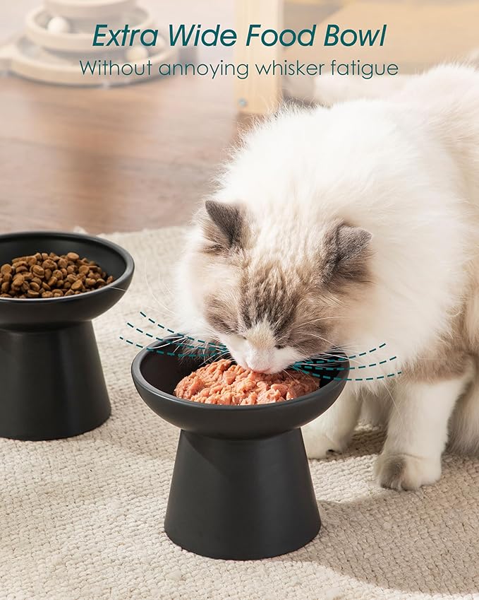 vancasso Elevated Cat Food Bowls 2-Pack, 6.2" Wide Shallow Cat Feeding Bowl for Whisker Fatigue, 5.1" Height Ceramic Raised Food Bowls for Senior Cats, Anti Vomit, Black
