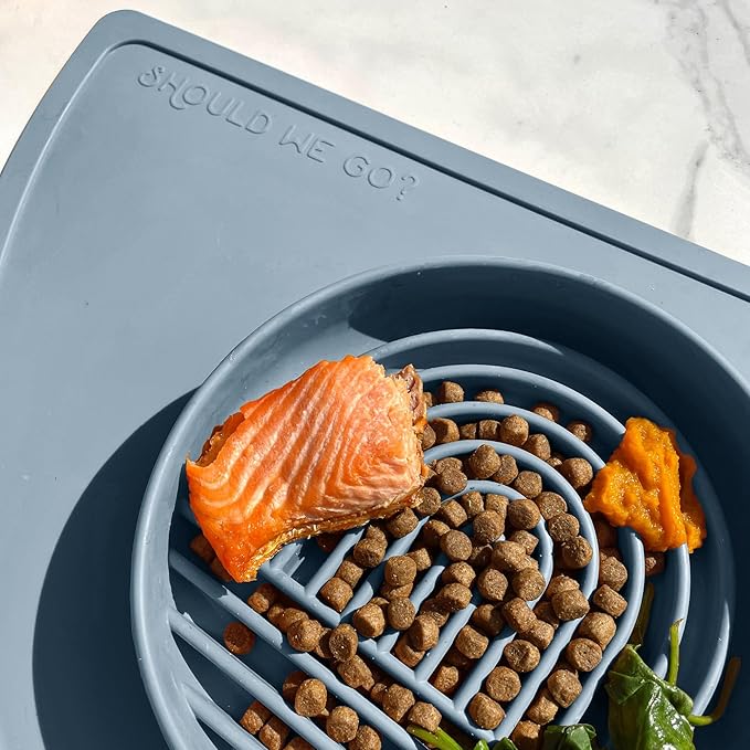Should We Go? Slow Feeder for Dogs & Puppies, The Slowdown Bowl Silicone Slow Eating, Modern Lick Mat Design, Reduces Gulping, Fits 2 Cups, 7.5” Across x 1.5” Tall, Mealtime Challenge, Medium-Ocean