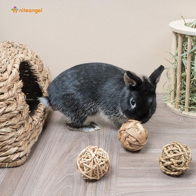 Niteangel Small Animal Activity Toy, Fun Pet Balls for Chinchilla Guinea Pig Rats Rabbits Hamster Gerbil Degu Bunny and Other Small Animals