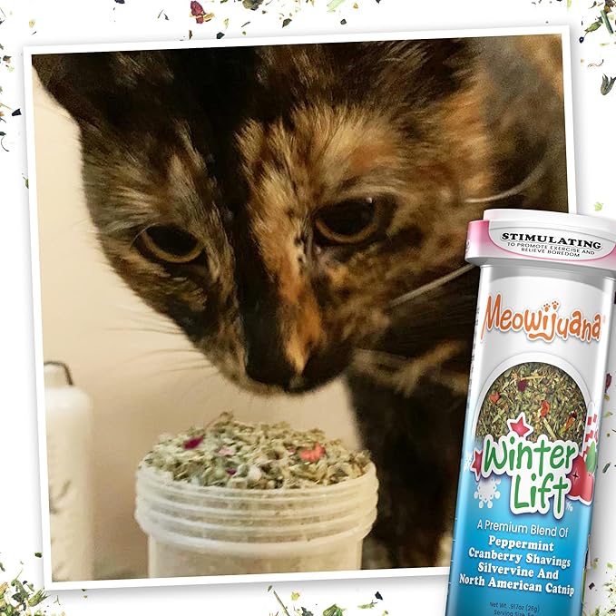 Meowijuana | Get Twisted Bundle | Get Twisted Candy Cane and Winter Lift | Promotes Play and Cat Health | Includes Organic Catnip | Feline and Cat Lover Approved
