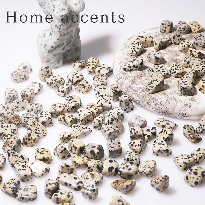 Dalmatian Jasper Chips Bulk 1lb, 600+ Pieces, 0.4-0.9in Natural Stones