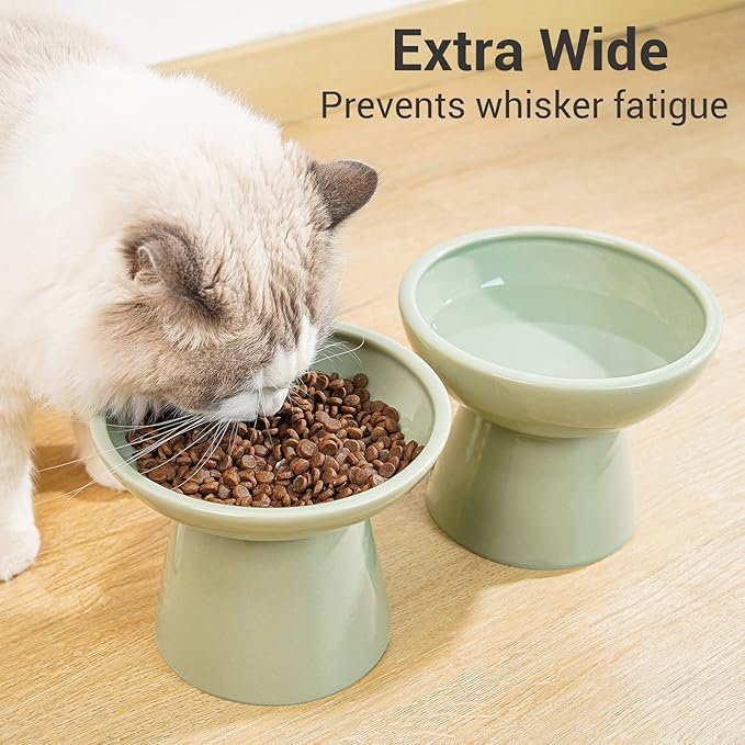 CEEFU Extra Wide Elevated Ceramic Cat Water Bowl - 6.2" Deeper Dish for Whisker Fatigue Relief, 5" Height for Easy Feeding, Lead & Cadmium Free, Durable Raised Cat Bowls, Green