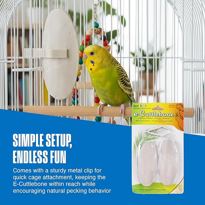 Penn-Plax Bird-Life E-Cuttlebone Original, 3 Pk (2 Count Each) - Durable, Less Brittle Cuttlebones Enriched with Omega 3, Honey & Vitamin B1 -Easy Mounting, Cage Clip - Great for All Bird Sizes -White