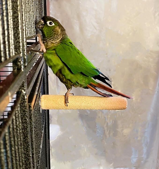Polly's Pastels Nail Trimming & Beak Conditioning Safety Perch for Cockatiels, Cockatoos, Macaws, Parakeets, Budgies, Parrots and All Other Birds (Coral, Baby Medium-3/4 Dia. x 5" Long)