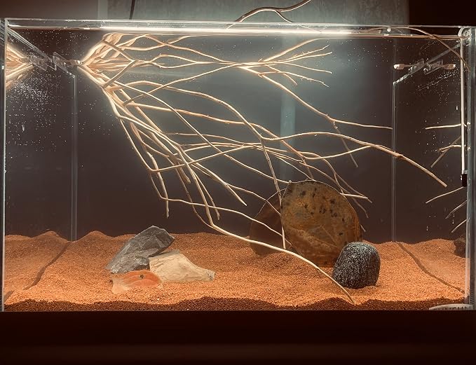 AWXZOM 11lb Natural South American Rainforest Sand, Aquarium red Sand, Lava Rock Soil, Red Lava Rock Sand, Succulent Sand Fish Tank Sand Aquarium Substrate Sand