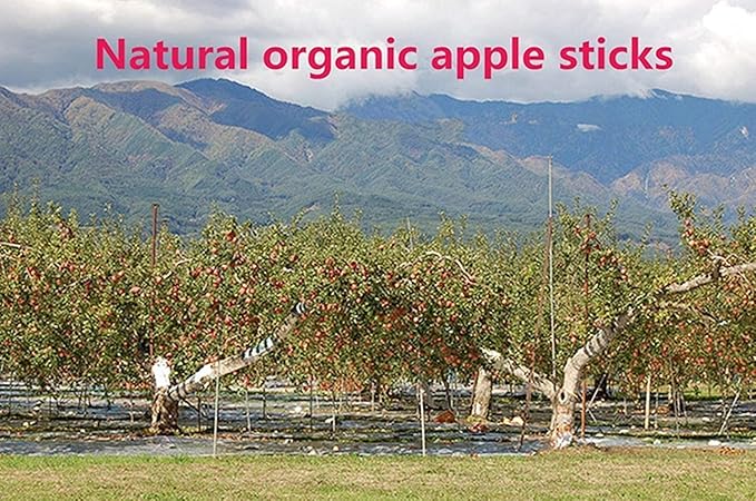 TAI JI 500g(18oz) Apple Sticks Small Animals Chew Toys for Chinchillas Guinea Pigs Rabbits Hamsters Squirrels
