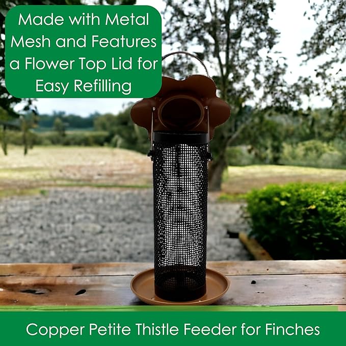 Songbird Essentials Gold Finch Feeder for Outdoor Hanging - Petite Nyjer Thistle Seed Feeder - All Metal - for Finches and Buntings for Outdoor Garden - Brushed Copper