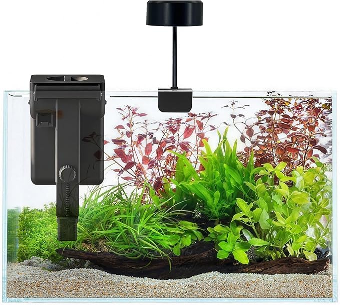 Fish Tank Starter Kits, Low Iron Glass Aquarium with Filter, Led Light for Aquascape DIY Small Betta Fish Tank (6 Gallons)
